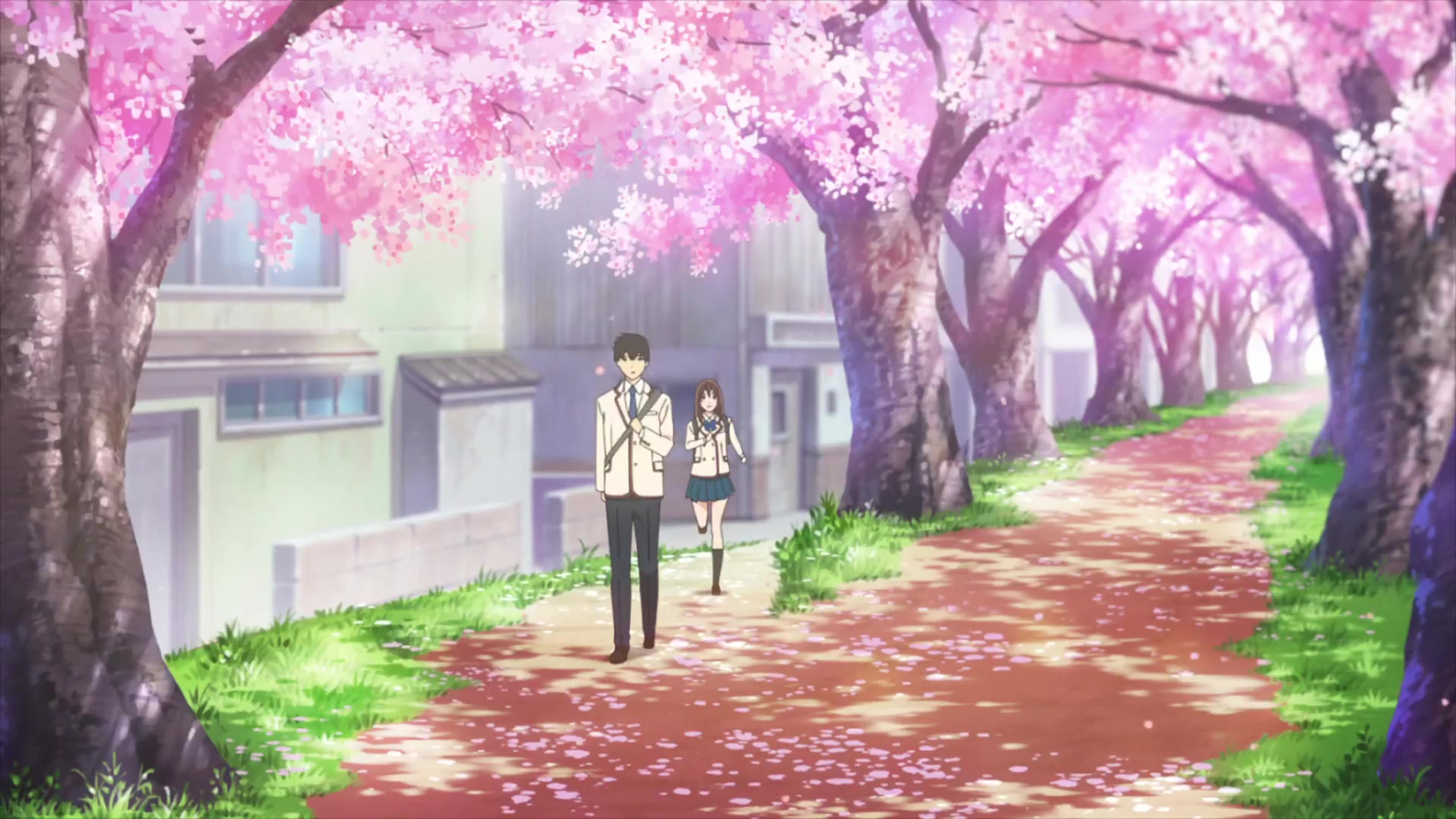[Tsukyio Editing Resources] I Want to Eat Your Pancreas Raw Clips (127) (tsukyio.com).mp4